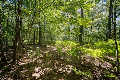 0 Emerald Ridge unit 29 22036088, Onekama Township, MI 49675 - photo 3