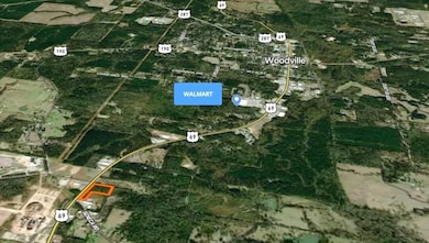 0 Tbd Hwy 69, Woodville, TX 75979 - photo 2