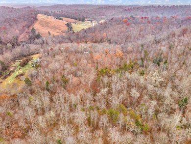 68 Acre Hwy 1709, Tyner, KY 40486 - photo 6