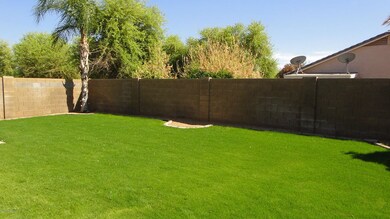 backyard2