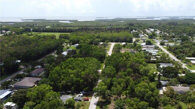 5499 Easy St, Pine Island Center, FL 33922 - photo 5