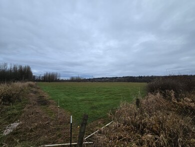 255xx NE 138th St, Duvall, WA 98019 - photo 7