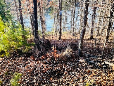 Lot 34 Water View Ct, Gretna, VA 24557 - photo 5