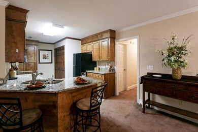 Kitchen From Great Room