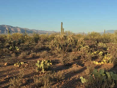LOT 5 ~ LAZY C RANCH