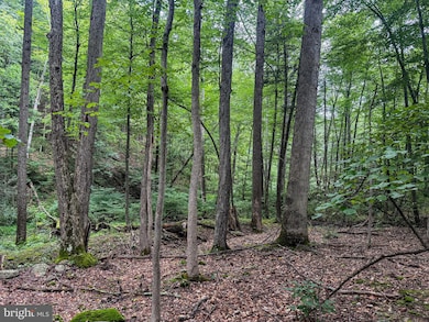 0 Laurel Dale Rd, New Creek, WV 26743 - photo 2