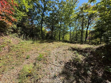 0 Burnt Leaf Ln unit 419226, Shooting Creek, NC 28904 - photo 6