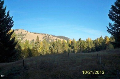 View from driveway