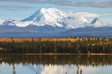 Mt Drum in Wrangell St. Elias National P