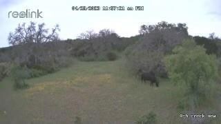 3041 Deer Ct, Weatherford, TX 76085 - photo 7