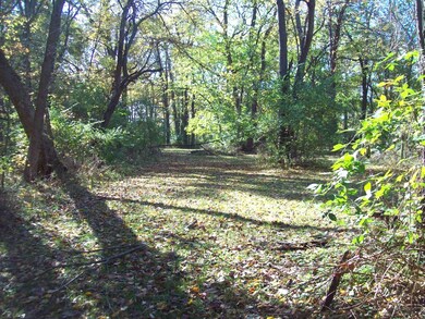 16403 County Road 1525 E, Princeton, IL 61356 - photo 5