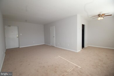 3601 5th St S unit 501, Arlington, VA 22204 - photo 6