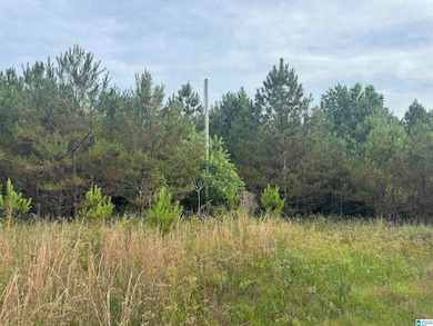 0 U S 43 unit 21410973, Guin, AL 35563 - photo 2