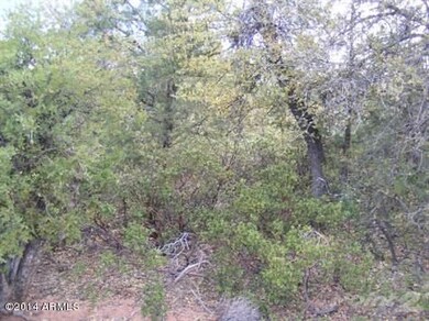 pic 3