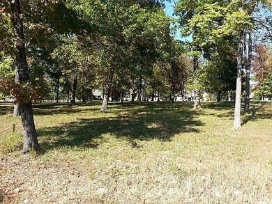 0 Little Aunts Creek Rd, Kimberling City, MO 65686 - photo 2