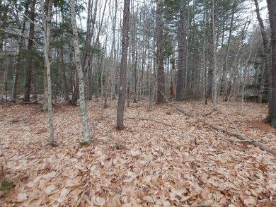 Lot 72 Holmes Rd, Barnstead, NH 03225 - photo 3