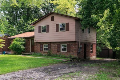 RealTourCast M Weisberg Mosswood (5 of