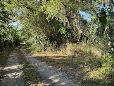 0 Orange St Sec 1 unit MFRO6247217, Oviedo, FL 32765 - photo 4