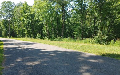 0 Hilton Dr unit 325899, Ellijay, GA 30540 - photo 4