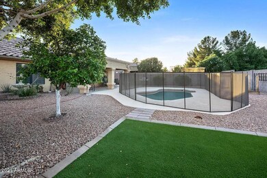 Backyard2