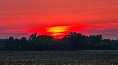 8273 van Vleet Rd, Gaines, MI 48436 - photo 6