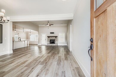 717 Petaluma Place, Locust Grove, GA 30248 - photo 5