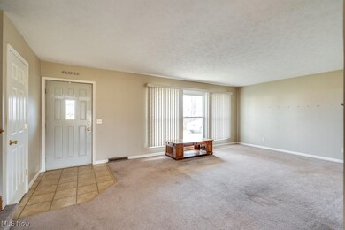 5049 Ridgeport Ave SE, Minerva, OH 44657 - photo 6