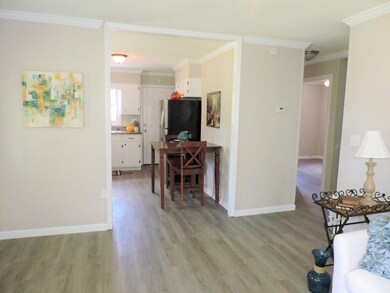 317 Roosevelt St, Johnson City, TN 37601 - photo 4