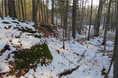 Mossy ledge near little pond.