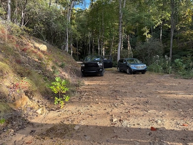 345 Cardinal Bluff Dr, Whittier, NC 28789 - photo 3