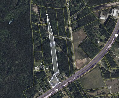 0 Highway 17, Awendaw 29429 Aerial 1