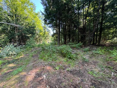 Stetson Road