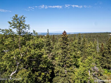 L3 B5 Mountain Air Dr, Anchorage, AK 99516 - photo 6