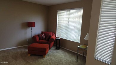 Plush Carpet & Custom Paint