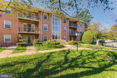 3330 Spring Ln unit D36, Baileys Crossroads, VA 22041 - photo 5
