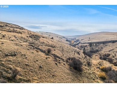 0 E Badger Canyon Rd unit 655770689, Condon, OR 97823 - photo 4