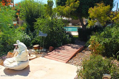 Back Yard1