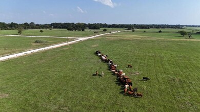 P2L28 463 County Rd, Mexia, TX 76667 - photo 7