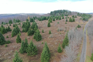 0WP Wothe-Freeman Rd, Deruyter, NY 13052 - photo 2