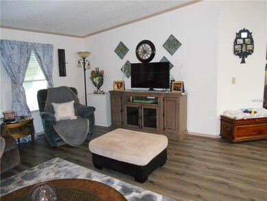 436 Jackson Park Ave, Davenport, FL 33897 - photo 5