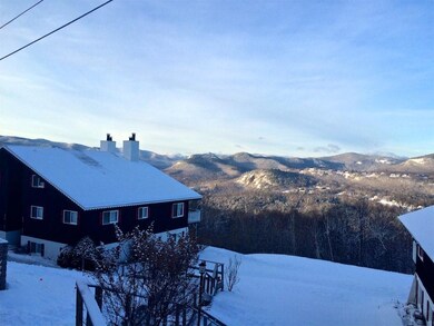 6 Summit Vista Rd unit B1, Bartlett, NH 03838 - photo 2