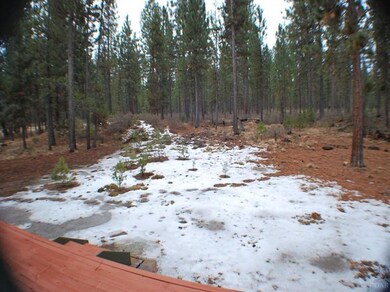 16879 Jacinto Rd, Bend, OR 97707 - photo 4