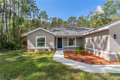 1086 W Anderson Ln, Dunnellon, FL 34434 - photo 4