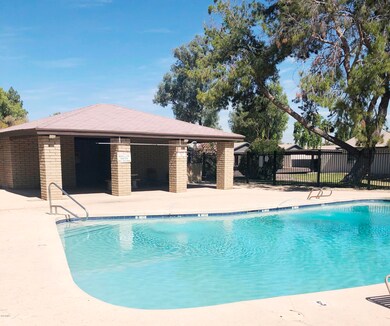 Community Pool area