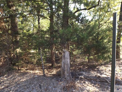 2037 Gun Club Rd, Texarkana, TX 75501 - photo 5