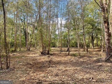 0 Buffalo Creek Rd unit 10624169, Carrollton, GA 30117 - photo 6