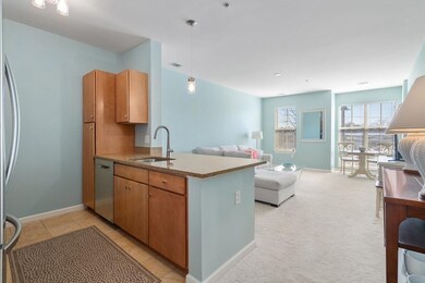 3 Repton Cir unit 3207, Watertown, MA 02472 - photo 6