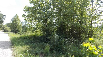 0 County Road 422, Epps Township, MO 63901 - photo 3