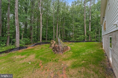 13191 Scotts Mill Rd, Culpeper, VA 22701 - photo 6