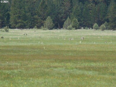 0 unit 21242753, Fox, OR 97856 - photo 6